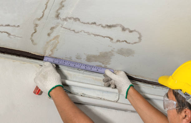 Reliable Water Damage contractor in Elizabeth, CO by Water Damage Irwin